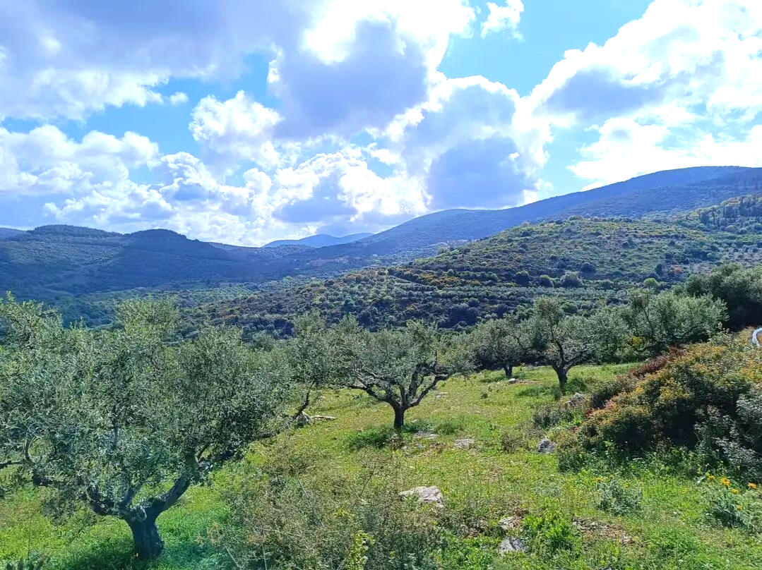 Explore Messinia Electric mountain bike rider exploring the scenic trails of Messinia, Greece