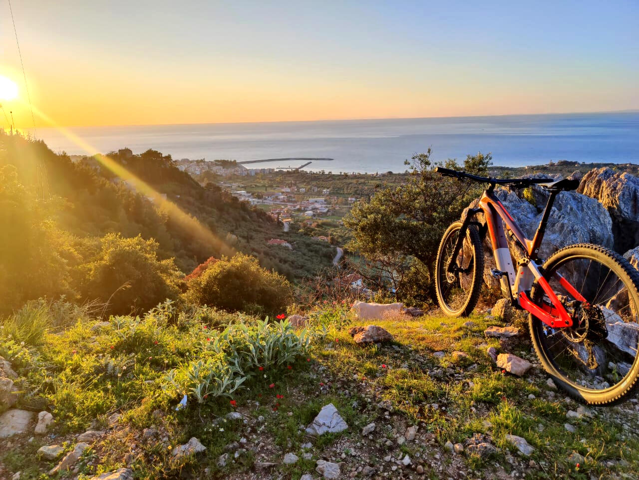 Riding Beyond the GPS Cyclist navigating a winding trail through olive groves in Messinia